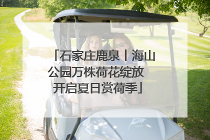 石家庄鹿泉丨海山公园万株荷花绽放 开启夏日赏荷季
