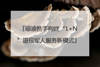 琼渝携手构建“1+N”退役军人服务新模式