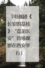 电视剧《长安的荔枝》“荔见长安”首场观影在西安举行