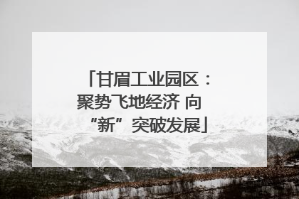 甘眉工业园区：聚势飞地经济 向“新”突破发展