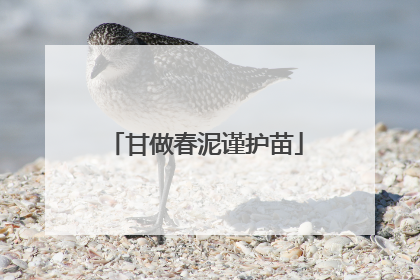 甘做春泥谨护苗