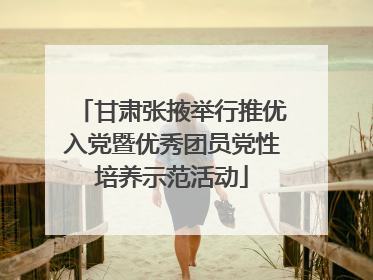 甘肃张掖举行推优入党暨优秀团员党性培养示范活动