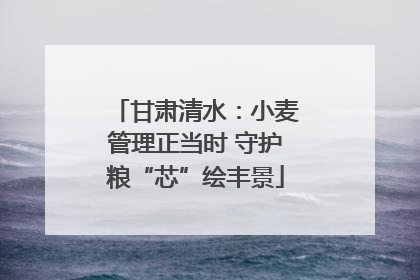 甘肃清水：小麦管理正当时 守护粮“芯”绘丰景