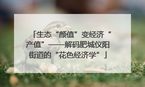 生态“颜值”变经济“产值”——解码肥城仪阳街道的“花色经济学”