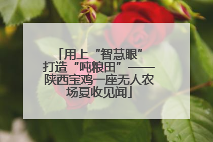 用上“智慧眼” 打造“吨粮田”——陕西宝鸡一座无人农场夏收见闻
