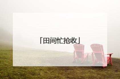 田间忙抢收