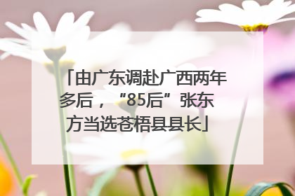 由广东调赴广西两年多后，“85后”张东方当选苍梧县县长