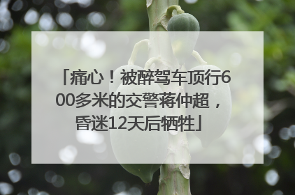 痛心！被醉驾车顶行600多米的交警蒋仲超，昏迷12天后牺牲