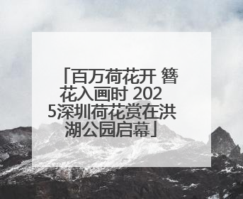 百万荷花开 簪花入画时 2025深圳荷花赏在洪湖公园启幕