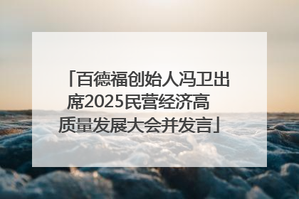 百德福创始人冯卫出席2025民营经济高质量发展大会并发言
