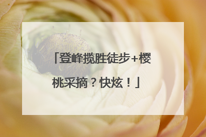 登峰揽胜徒步+樱桃采摘？快炫！