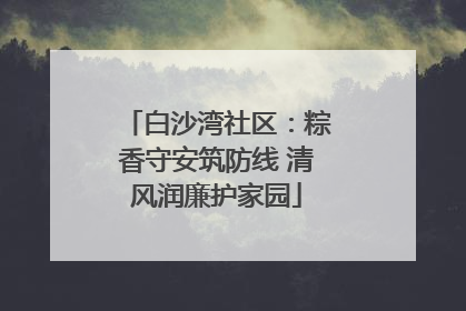 白沙湾社区：粽香守安筑防线 清风润廉护家园