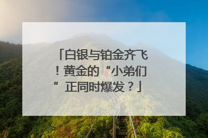 白银与铂金齐飞！黄金的“小弟们”正同时爆发？