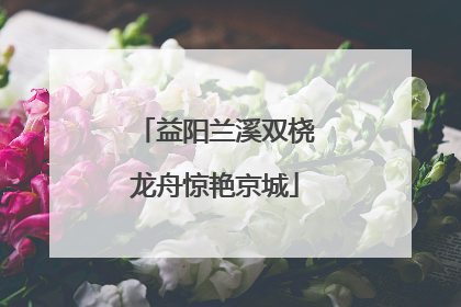 益阳兰溪双桡龙舟惊艳京城