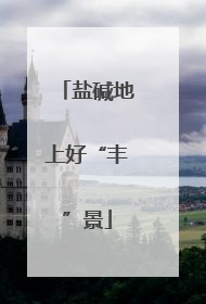 盐碱地上好“丰”景