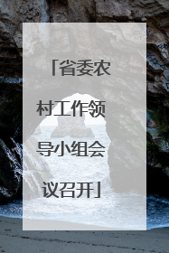省委农村工作领导小组会议召开