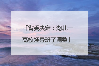 省委决定：湖北一高校领导班子调整