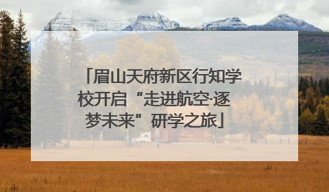 眉山天府新区行知学校开启“走进航空·逐梦未来”研学之旅