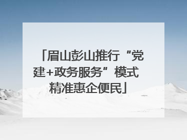 眉山彭山推行“党建+政务服务”模式 精准惠企便民