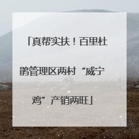 真帮实扶！百里杜鹃管理区两村“威宁鸡”产销两旺
