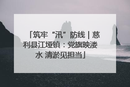 筑牢“汛”防线｜慈利县江垭镇：党旗映溇水 清淤见担当