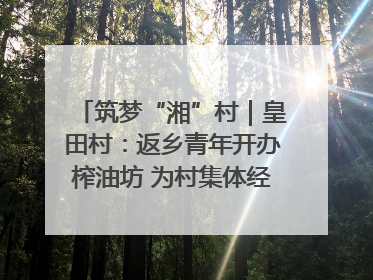 筑梦“湘”村｜皇田村：返乡青年开办榨油坊 为村集体经济“加油”