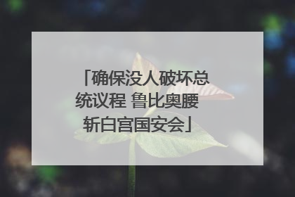 确保没人破坏总统议程 鲁比奥腰斩白宫国安会