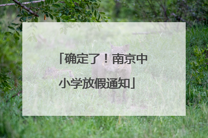 确定了！南京中小学放假通知