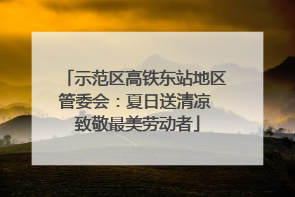 示范区高铁东站地区管委会：夏日送清凉 致敬最美劳动者