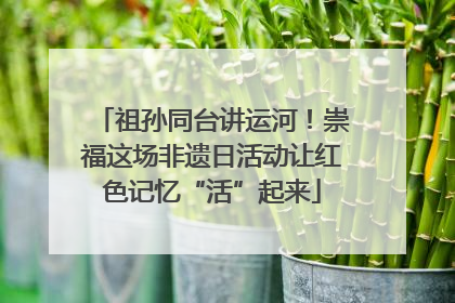 祖孙同台讲运河！崇福这场非遗日活动让红色记忆“活”起来