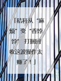 秸秆从“麻烦”变“香饽饽” 打捆回收这波操作太赚了！