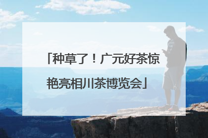 种草了！广元好茶惊艳亮相川茶博览会