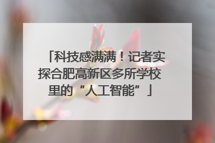 科技感满满！记者实探合肥高新区多所学校里的“人工智能”