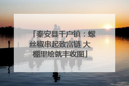 秦安县千户镇：螺丝椒串起致富链 大棚里绘就丰收图