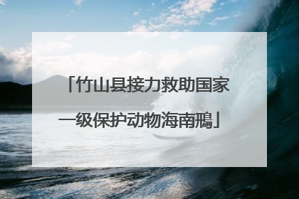 竹山县接力救助国家一级保护动物海南鳽