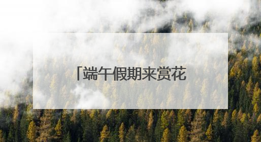 端午假期来赏花！上海滨江森林公园绣球花展5月31日开幕