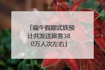 端午假期武铁预计共发送旅客380万人次左右