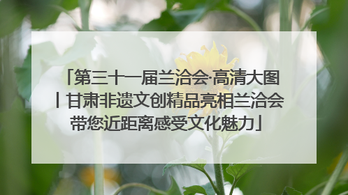第三十一届兰洽会·高清大图丨甘肃非遗文创精品亮相兰洽会 带您近距离感受文化魅力