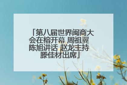 第八届世界闽商大会在榕开幕 周祖翼陈旭讲话 赵龙主持 滕佳材出席