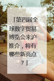 第四届全球数字贸易博览会来沪推介，将有哪些新亮点？