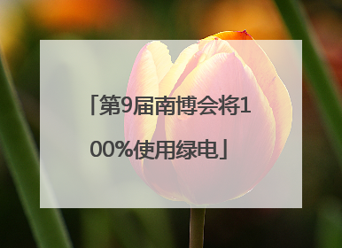第9届南博会将100%使用绿电