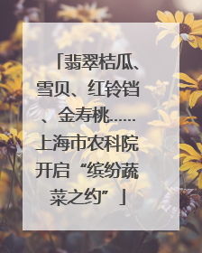 翡翠桔瓜、雪贝、红铃铛、金寿桃……上海市农科院开启“缤纷蔬菜之约”