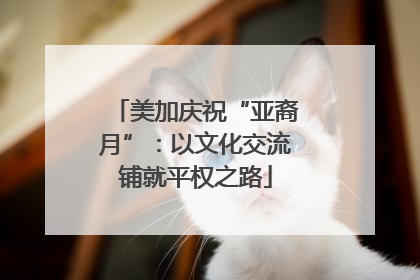 美加庆祝“亚裔月”：以文化交流铺就平权之路