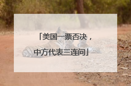 美国一票否决，中方代表三连问