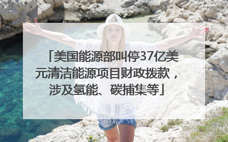 美国能源部叫停37亿美元清洁能源项目财政拨款，涉及氢能、碳捕集等
