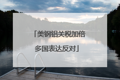 美钢铝关税加倍 多国表达反对