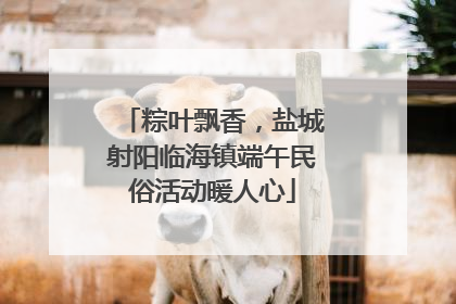 粽叶飘香，盐城射阳临海镇端午民俗活动暖人心