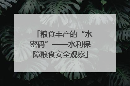 粮食丰产的“水密码”——水利保障粮食安全观察
