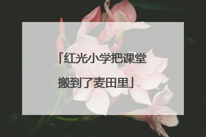 红光小学把课堂搬到了麦田里