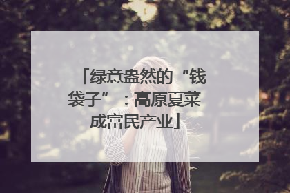 绿意盎然的“钱袋子”：高原夏菜成富民产业